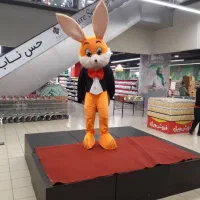 اجاره عروسک تن‌پوش نمایشی و تبلیغاتی