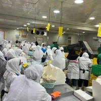 استخدام بازاریاب و ادمین