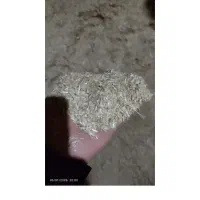 گندم  کوهدشت|لوازم جانبی حیوانات|گرمخان, |دیوار