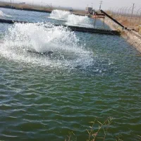 نگهبانی استخر پرورش ماهی