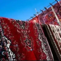 قالیشویی و مبل شویی در فردیس.منظریه متری ۵۰ تومن|خدمات نظافت|فردیس, منظریه|دیوار