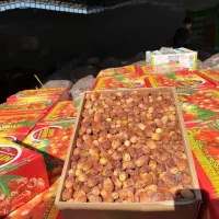 خرما زاهدی