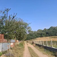 زمین فروشی در ساری،دودانگه،منطقه فریم|فروش زمین و ملک کلنگی|فریم, |دیوار