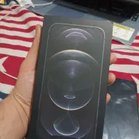 Iphone 12 Pro - ZAA تمیز|موبایل|اصفهان, باغ دریاچه|دیوار