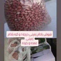 بادام زمینی درجه یک آجیلی|عمدهفروشی|جلفا, |دیوار