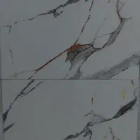 کاشی و سرامیک|مصالح و تجهیزات ساختمان|آزادشهر, |دیوار