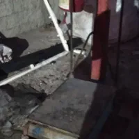 باسکول.وویتیرن