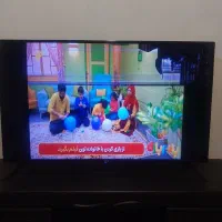 تلویزیون ال ای دی|تلویزیون و پروژکتور|هشتگرد, شهرک بعثت|دیوار