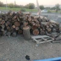 چوب گردو خشک