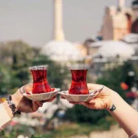راهنمایی در مورد مینی بوس