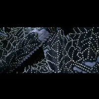 لباس چادر با بدن آستین عوض میکنم|لباس|سراوان, |دیوار