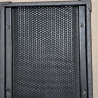 اکو با میکروفون