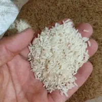 برنج طارم درجه ۱