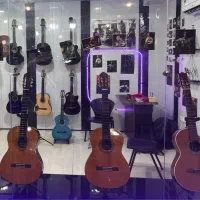 آموزش حرفه ای گیتار