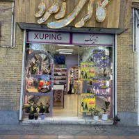 فروشنده بدلیجات