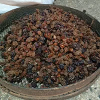 آلوچه و گیلاس|خوردنی و آشامیدنی|تهران, ائمه اطهار|دیوار