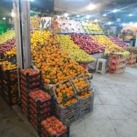 شاگرد میوه فروشی