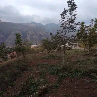 فروش زمین مسکونیسیاهرودبار|فروش زمین و ملک کلنگی|علیآباد کتول, |دیوار