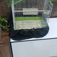 قفس دو تا|لوازم جانبی حیوانات|شهر ری, شهرک نظامی|دیوار