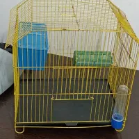 قفسه عروس هلندی