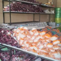 نایلکس ، یک بار مصرف