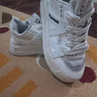 کفش اسپرت|کیف، کفش، کمربند|مشهد, سیلو|دیوار