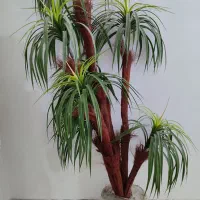 درخت نخل تزیینی