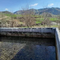 رنگه رژان|فروش دفتر صنعتی، کشاورزی، تجاری|سرشیو, |دیوار