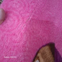 موکت|موکت|خرم‌آباد, |دیوار