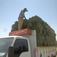 یونجه چین دو سه انباری|عمده‌فروشی|آوج, |دیوار