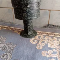 زرب خوبی است خوش صدا است