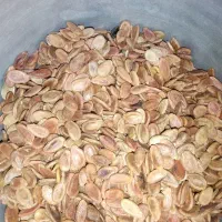 تخمه بذری ژاپنی