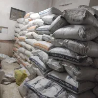 گندم کیسه شده گندم مغزدار۴۹ براارد