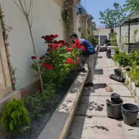 کلیه کارهای باغبانی سمپاشی هرسکاری تیلرزنی سمپاشی