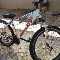 دوچرخه جاینت
