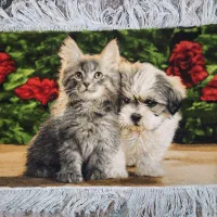 فرش دستباف مدل سگ و گربه|تابلو فرش|اصفهان, سپاهان‌شهر|دیوار