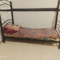 همخونه خ ا ن م|اجارهٔ آپارتمان|بندرعباس, |دیوار