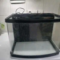 آکواریوم شرکتی
