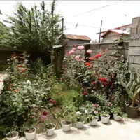 اجاره ویلا سالانه دربستی