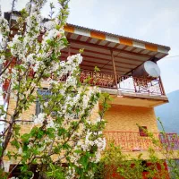 ویلای زیبای الستان ـ اقامتگاه گل نرگس