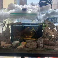 همکاری به صورت شراکتی یا تحویل کامل با اساسیه|اجارهٔ مغازه و غرفه|نهاوند, |دیوار