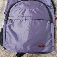 کوله پشتی پیرکاردین