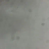 تنها هستم اگه روانشناس سراغ دارید ممنون میشم