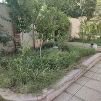 خدمات باغبانی|خدمات باغبانی و درختکاری|کرج, کوی کارمندان شمالی|دیوار
