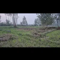 300متر-سند-تک-برگ-مصطفی-دوست