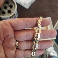 طلای گمشده
