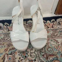 کفش های مجلسی|کیف، کفش، کمربند|طرقبه, |دیوار