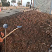 سلام|خدمات باغبانی و درختکاری|رودان, |دیوار