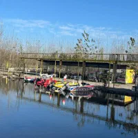 ساخت سوئیسی با سازه شیک