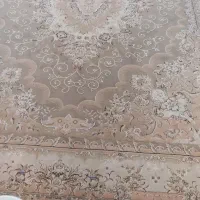 دو تخته فرش ۱۲متری